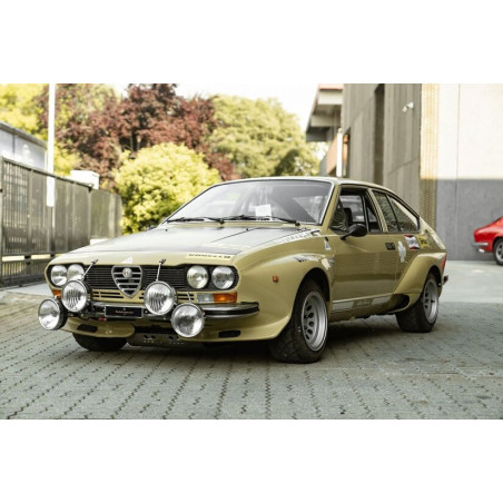 Direction assistée électrique Alfa Romeo Alfetta